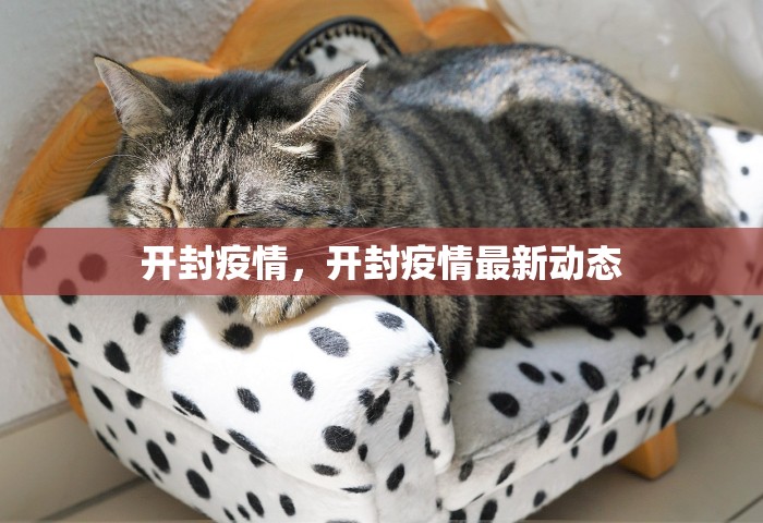 开封疫情，开封疫情最新动态