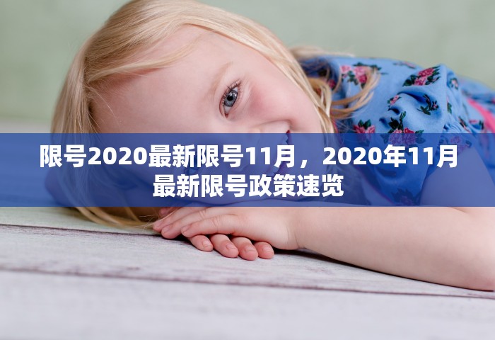 限号2020最新限号11月，2020年11月最新限号政策速览