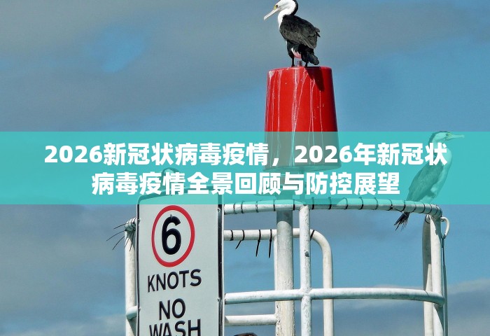 2026新冠状病毒疫情	，2026年新冠状病毒疫情全景回顾与防控展望