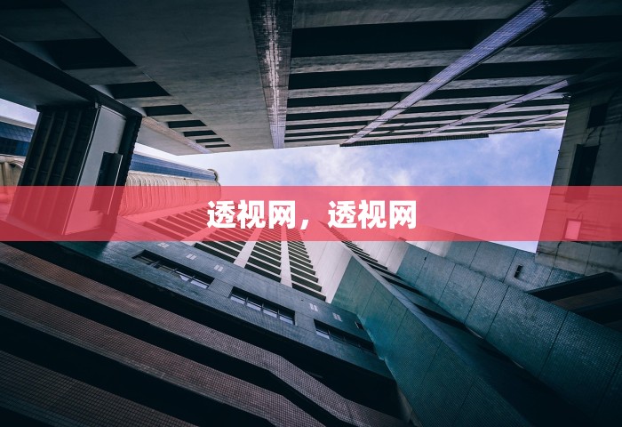 透视网	，透视网
